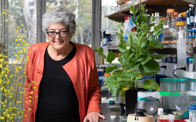 Joanne Chory in her laboratory at the Salk Institute.