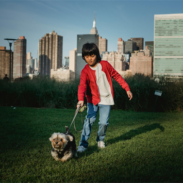 An adolescent child walking a terrier dog in a grassy part of an NYC park.