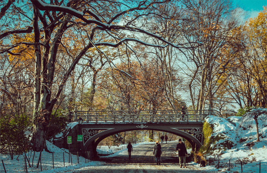 Shot of one of the overpass bridges in Central Park in Manhattan, NY.