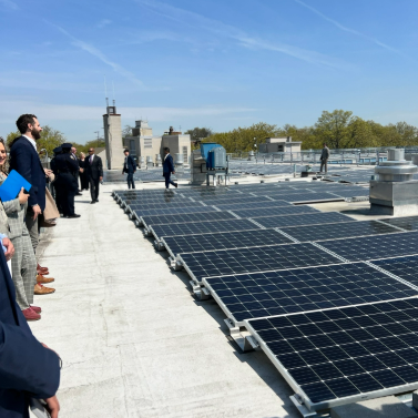 People standing on a roof covered with solar panels with a blue sky and trees in the background.