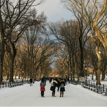 View of main path in NYC's Central Park after snowfall