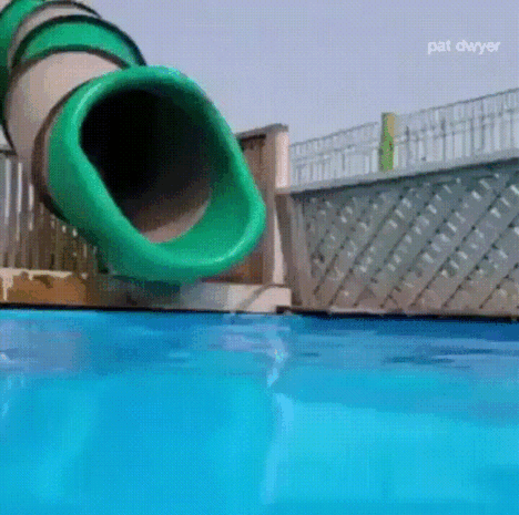GIF of a corgi sliding down a water slide and into a pool
