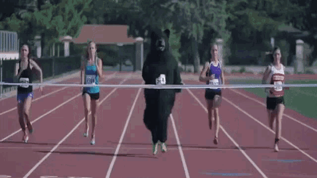 GIF of a person in a bear costume racing to reach a finish line against other racers