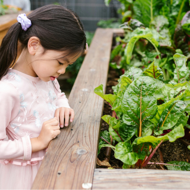 A child looks at plants in a garden