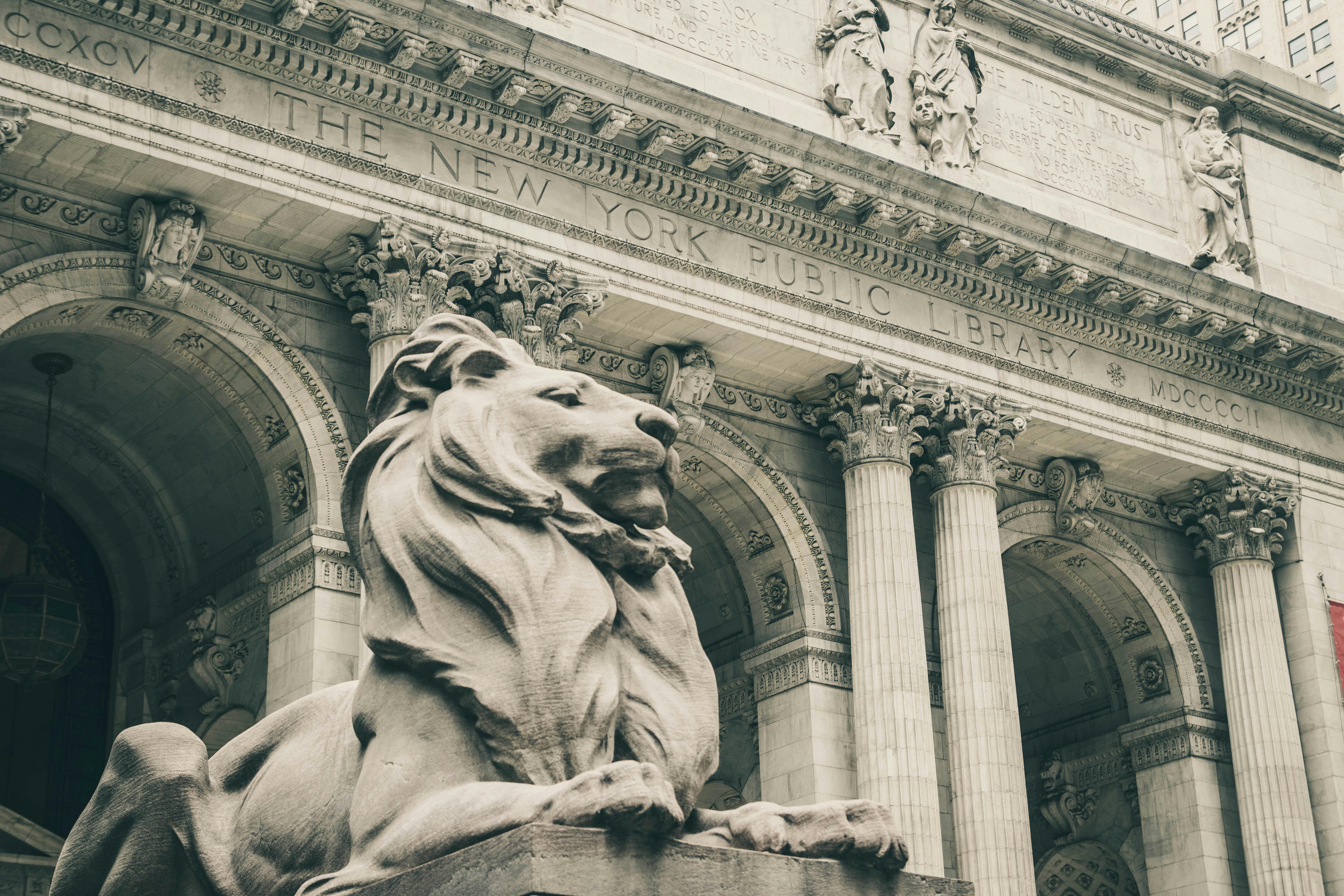 Side view of Patience, the lion who guards the south side of the New York Public Library.