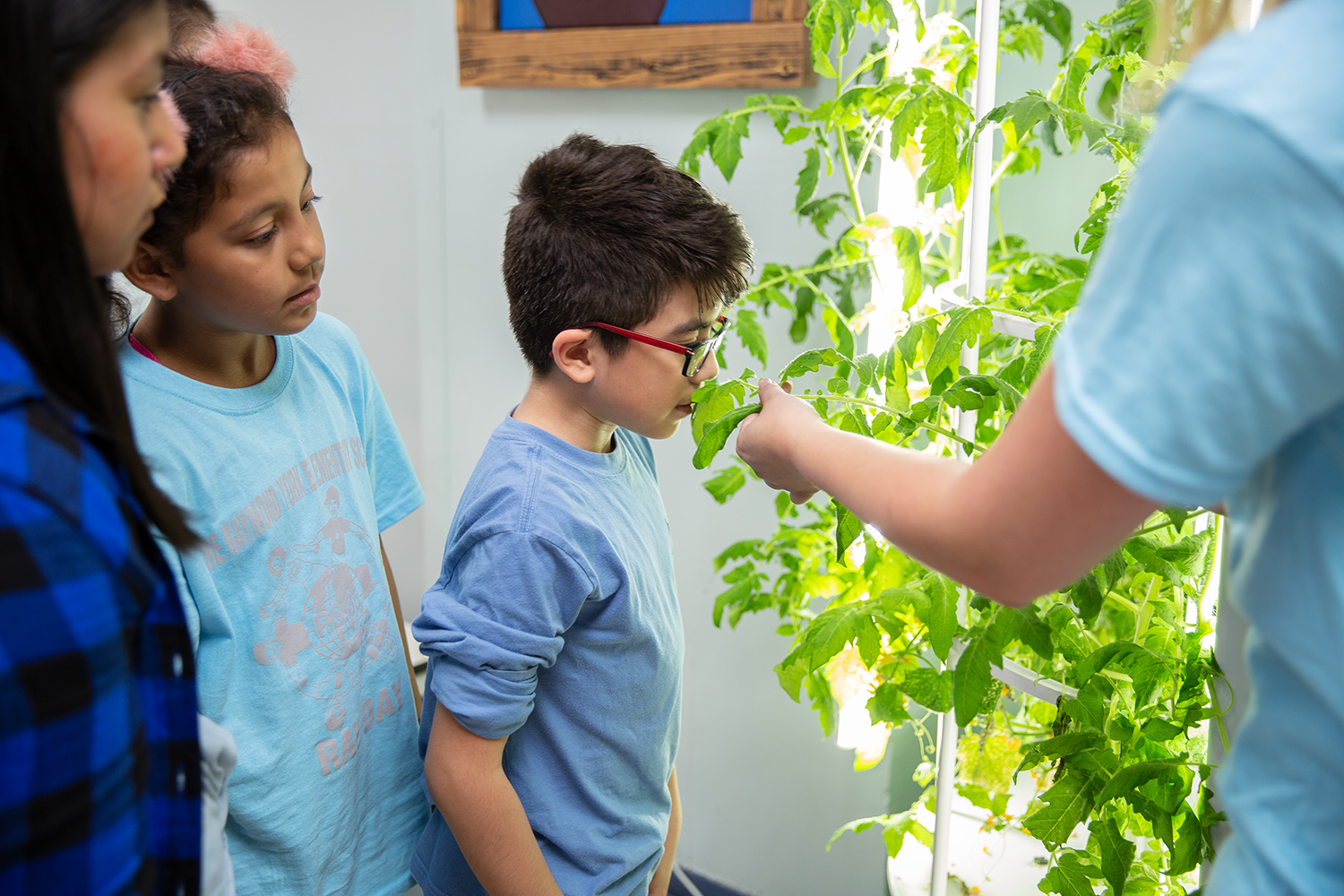 Students check in on the plants they've grown in green spaces at school.