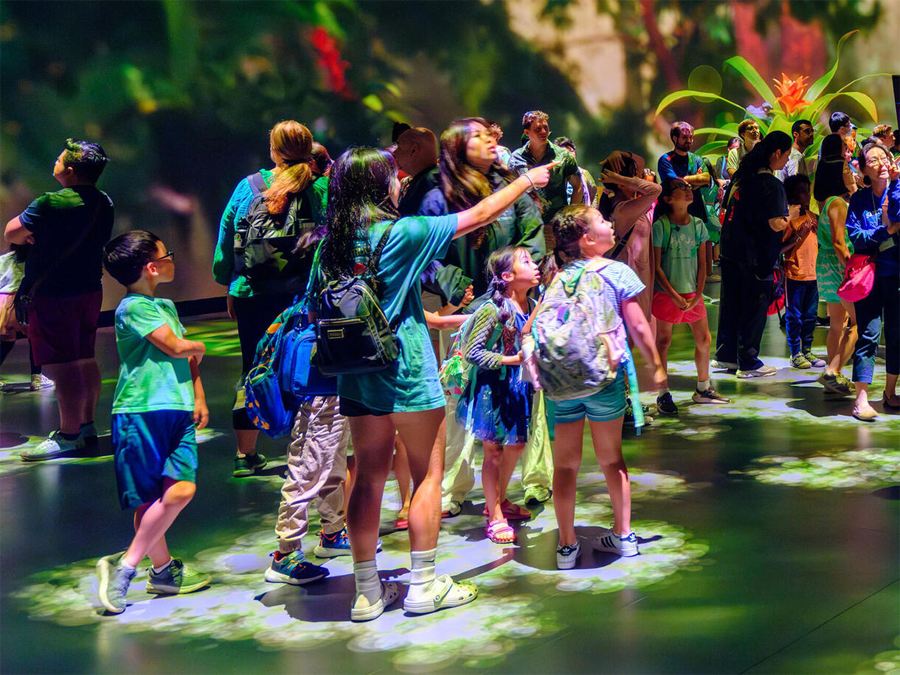View of a group of elementary-aged children inside a colorful exhibit at the American Museum of Natural History