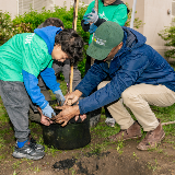 Chancellor Samuels and a PS 14 student grabbing a tree sapling together to plant in a nearby plot.