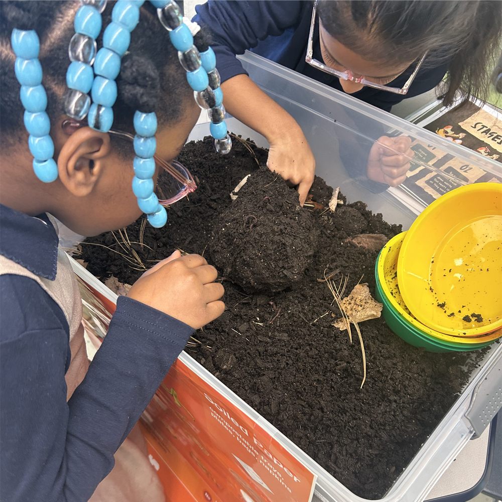 Looking for Worms (Climate Action Day X583)