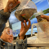 A student pours dirty water through a handmade water filter in a classroom.