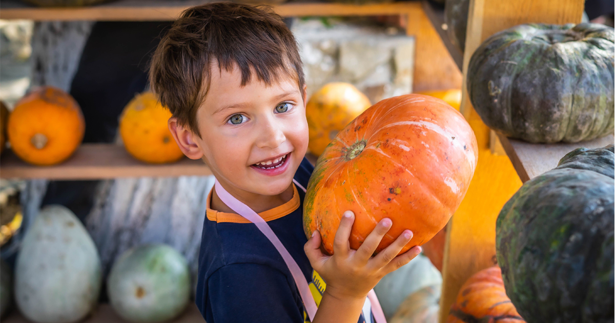 Young child, standing inside an outdoor crafting area featuring dozens of pumpkins, holding a medium-sized pumpkin with two hands.