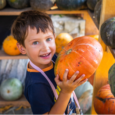 Young child, standing inside an outdoor crafting area featuring dozens of pumpkins, holding a medium-sized pumpkin with two hands.